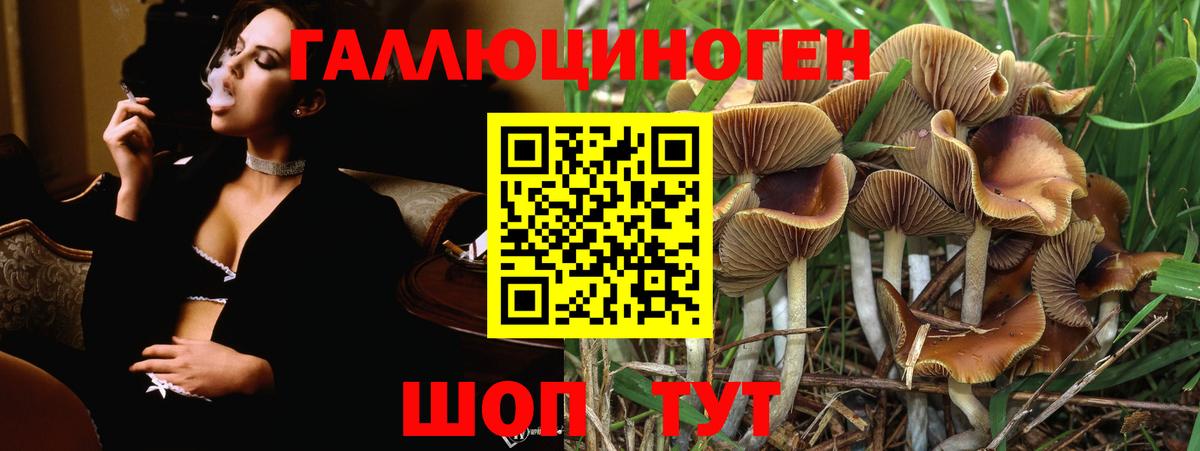 Галлюциногенные грибы GOLDEN TEACHER Мичуринск