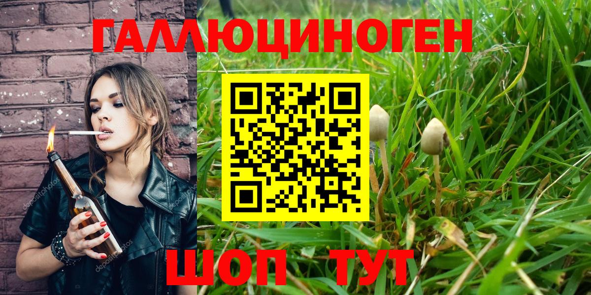 Мичуринск  Псилоцибиновые грибы мухоморы  Вход с VPN 